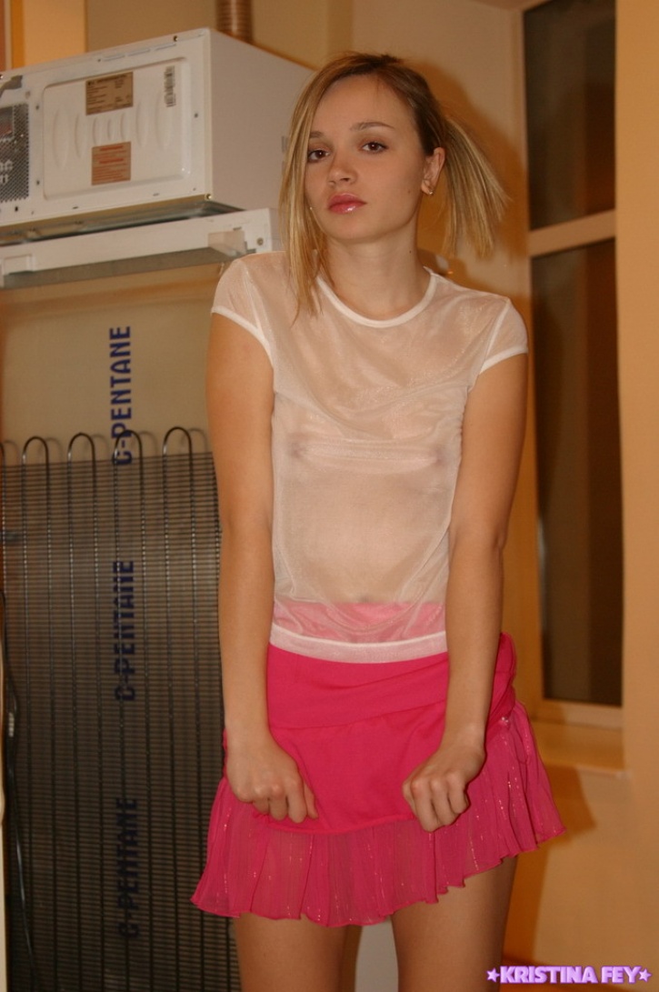 kristina fey sheer shirt