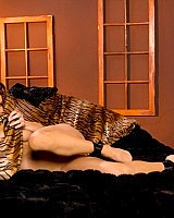 Penthouse's Brea Lynn